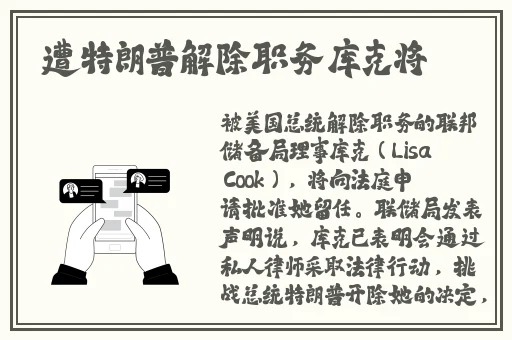 99国内精品久久久久久久
